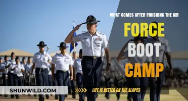 Life After Air Force Boot Camp: Next Steps and Opportunities