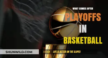 Basketball Playoffs: The Road to the Championship