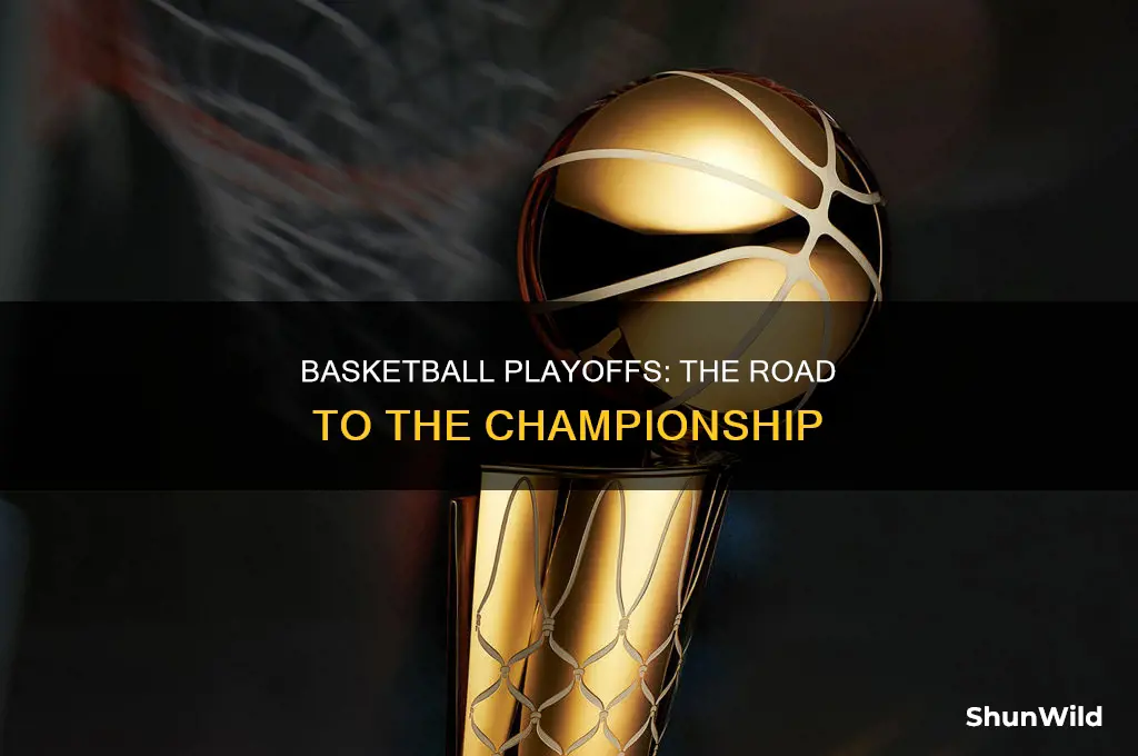what comes after playoffs in basketball