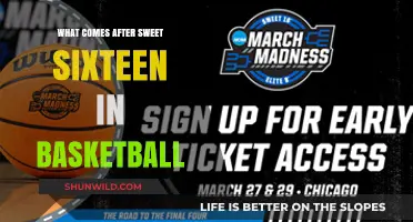 The Exciting Road Ahead: Basketball's Post-Sweet Sixteen