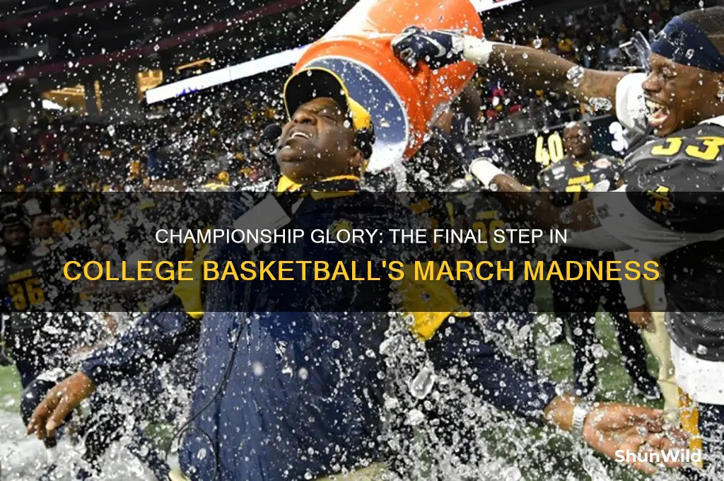 what comes after the final four in basketball