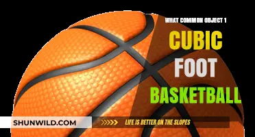 Basketball Size Compared to Everyday Objects