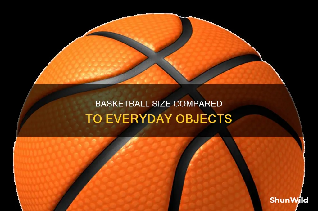 what common object 1 cubic foot basketball