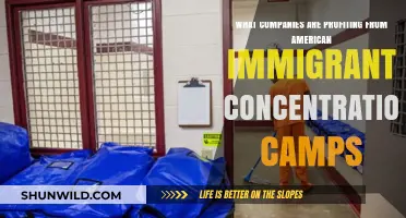 Profiting from Pain: Companies Exploiting American Immigrant Detention Centers