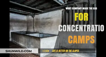 The Dark History: Company Behind Concentration Camp Gas Revealed