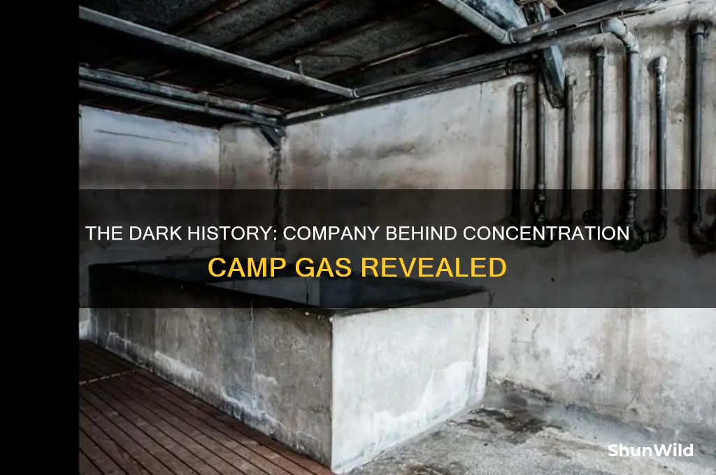 what company made the gas for concentration camps