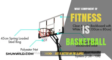 Basketball's Fitness Components: Training for the Hardwood
