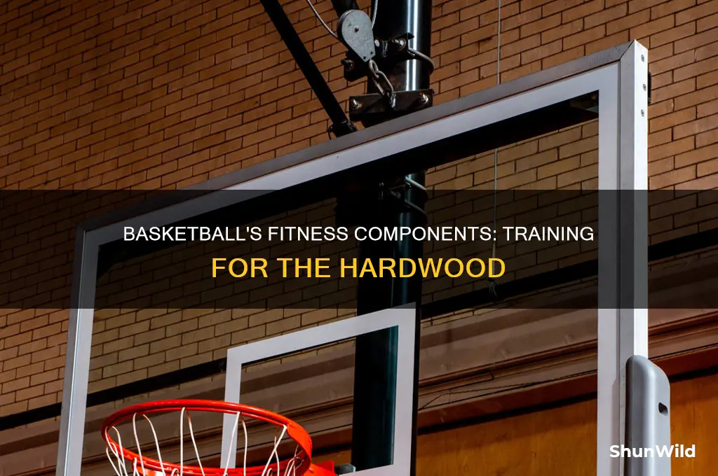 what component of fitness is basketball