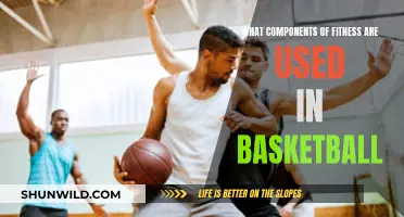 Basketball Fitness Components: Keys to Success on the Court