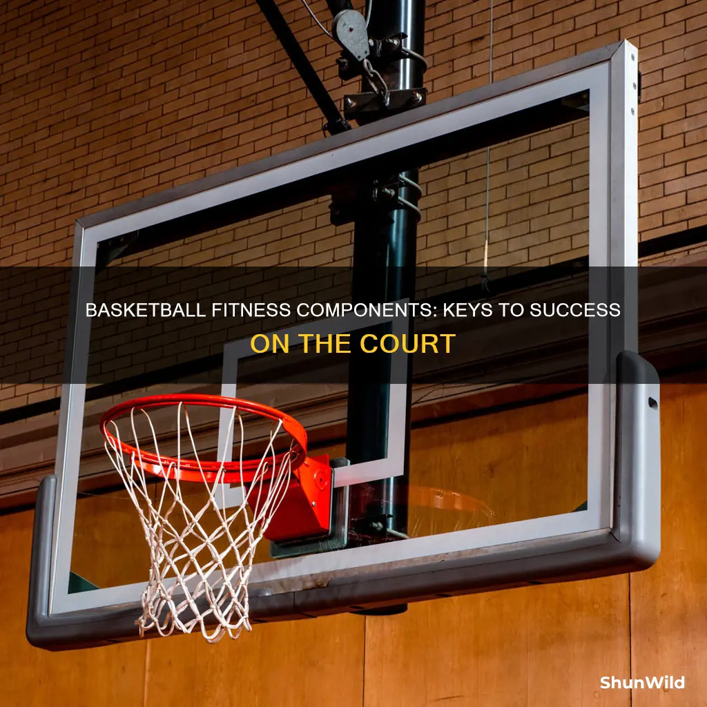 what components of fitness are used in basketball