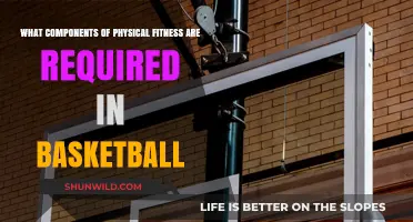 Basketball Fitness: Components for Success