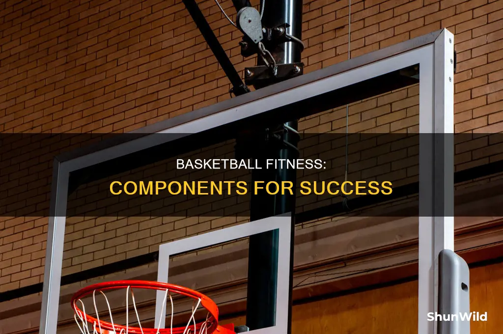 what components of physical fitness are required in basketball