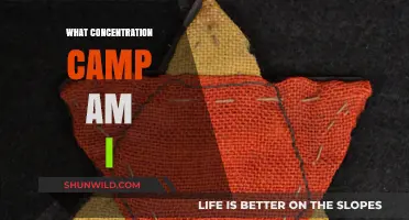 Unveiling My Ancestral Past: Identifying the Concentration Camp Connection