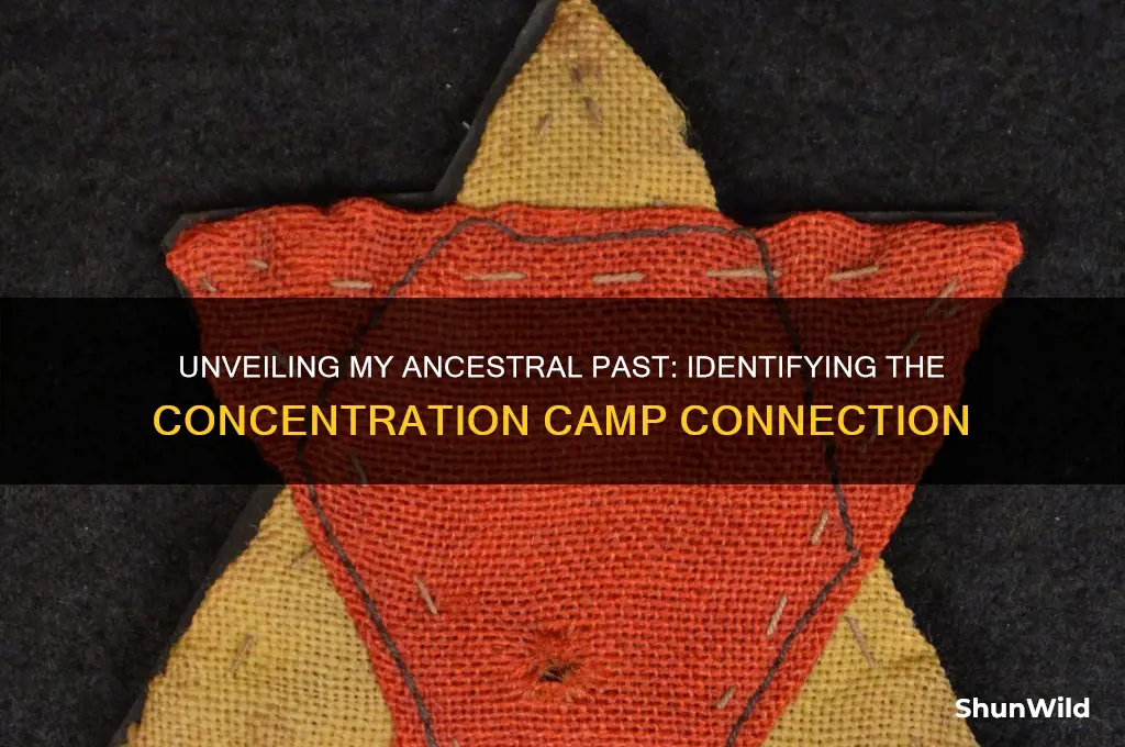 what concentration camp am i