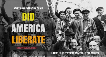 America's Liberation of Dachau: A Turning Point in WWII History