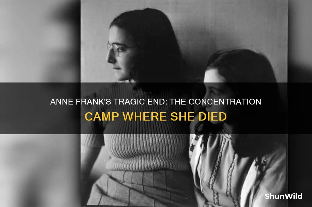 what concentration camp did anne died in