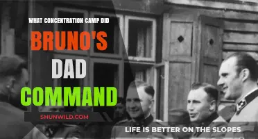 The Haunting Truth: Which Concentration Camp Did Bruno's Father Command?