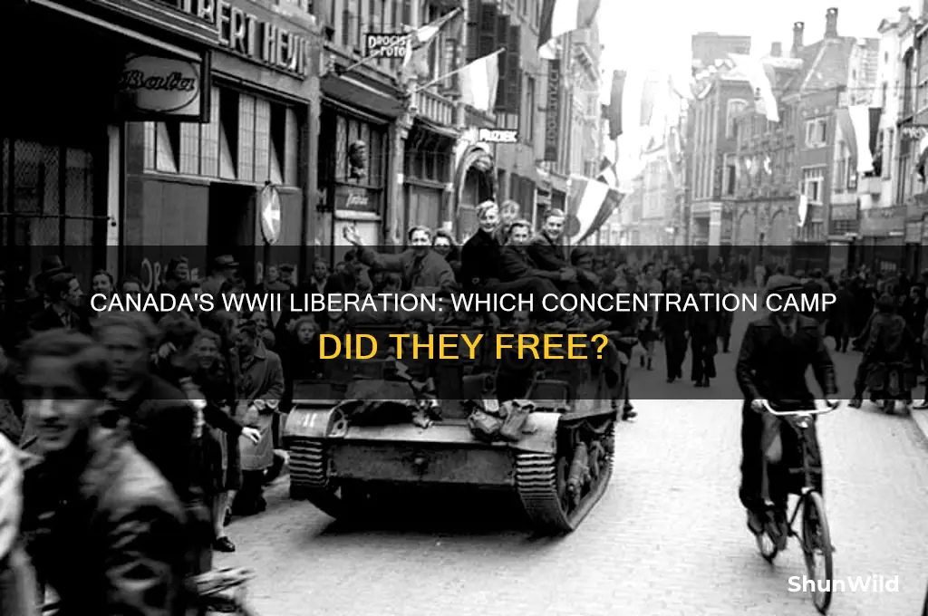 what concentration camp did canadians liberate in ww2