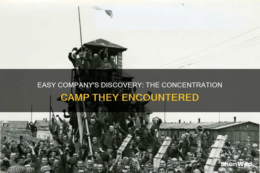 what concentration camp did easy company find