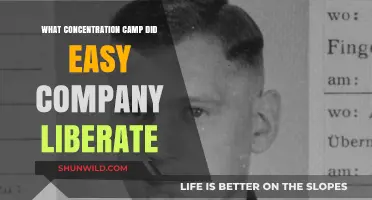Easy Company's Liberation: Unveiling the Concentration Camp They Freed