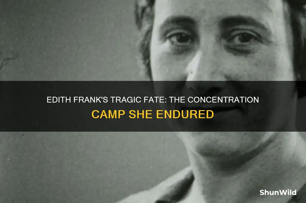 what concentration camp did edith frank go to