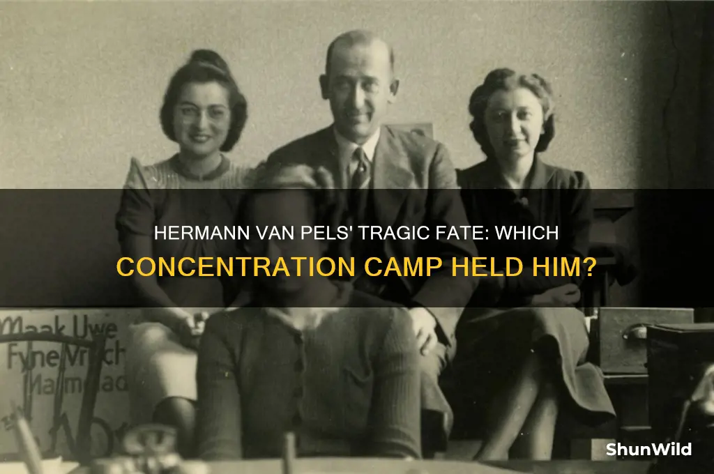 what concentration camp did hermann van pels go to