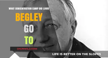 Louis Begley's Harrowing Experience in a Nazi Concentration Camp