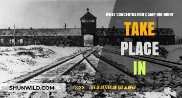 Night's Haunting Setting: The Concentration Camp Elie Wiesel Survived