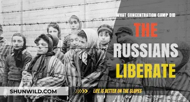 Russian Liberation of Auschwitz: A Turning Point in WWII History