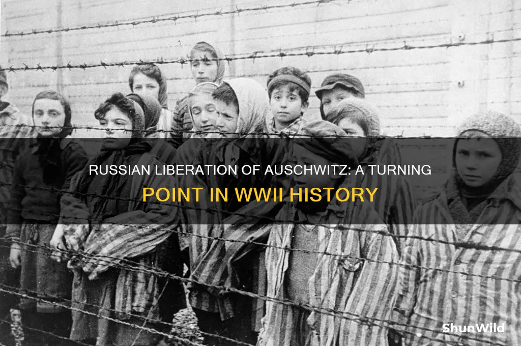 what concentration camp did the russians liberate