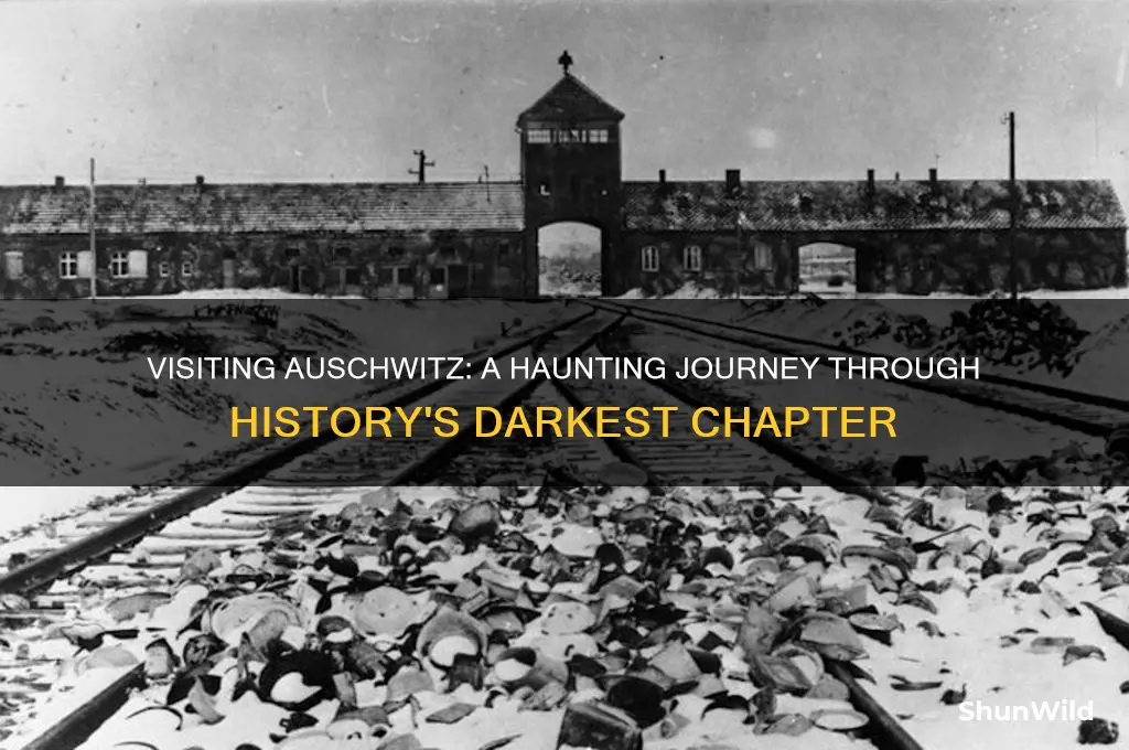 what concentration camp does the author describe traveling to