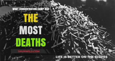 Auschwitz: The Deadliest Concentration Camp in History