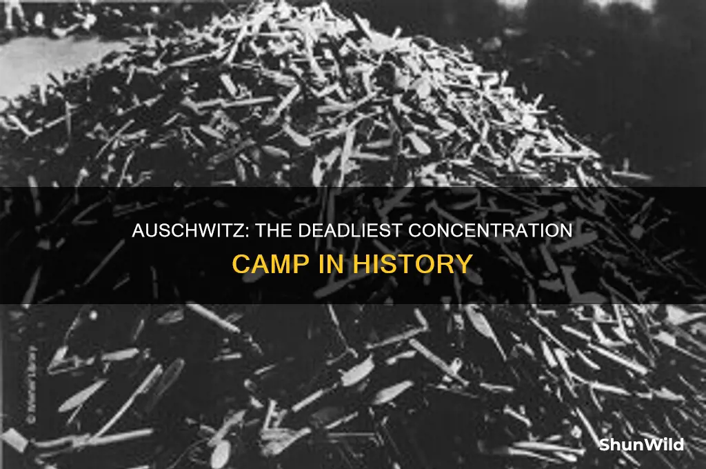 what concentration camp had the most deaths