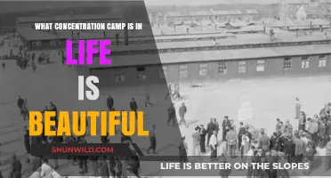 Life is Beautiful's Concentration Camp: A Heartbreaking Historical Setting