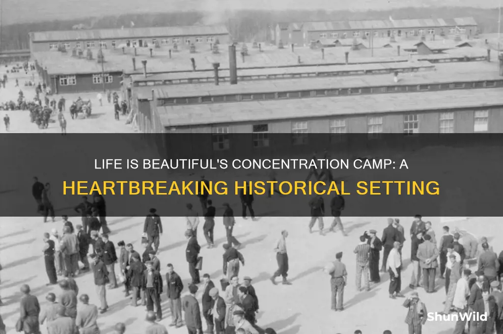 what concentration camp is in life is beautiful