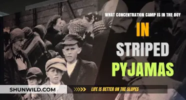 The Boy in the Striped Pyjamas: Unveiling the Concentration Camp Setting