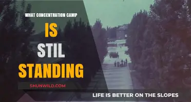 Preserved Horrors: Concentration Camps Still Standing Today and Their Stories