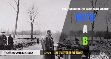 Unveiling the Dark History of Buchenwald Concentration Camp