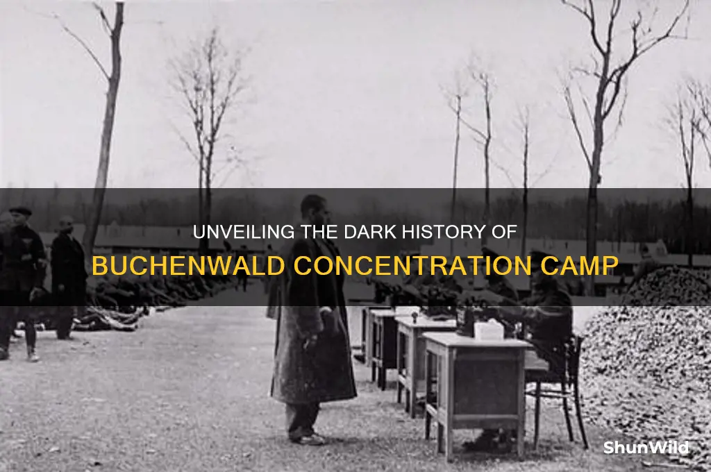 what concentration camp name started with a b
