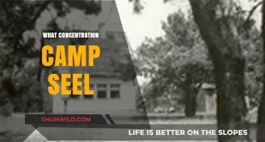 Unveiling the Dark Legacy of Seel Concentration Camp: A Historical Perspective