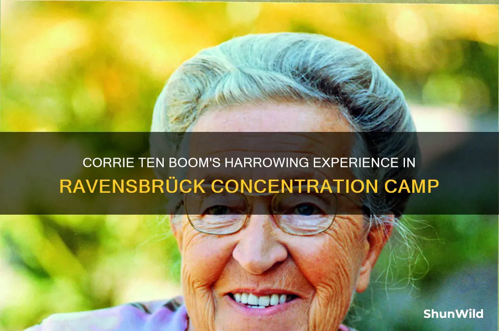 what concentration camp was corrie tin boon