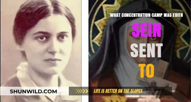 Edith Stein's Tragic Fate: The Concentration Camp She Was Sent To