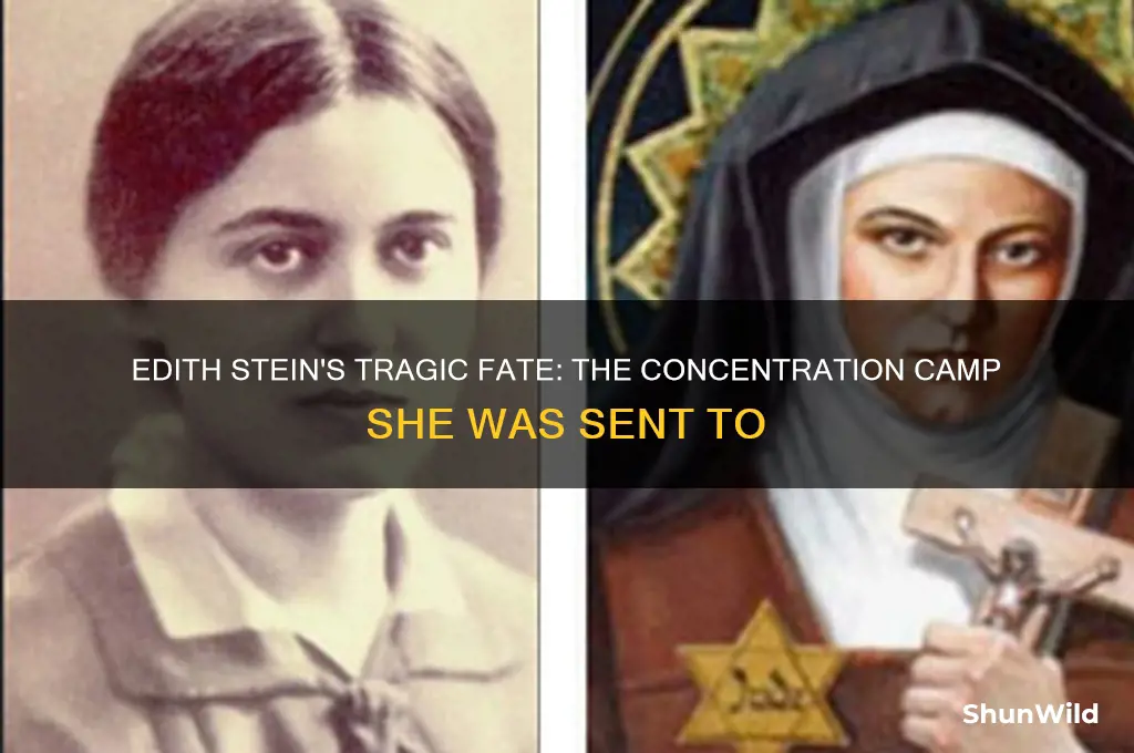 what concentration camp was edith sein sent to