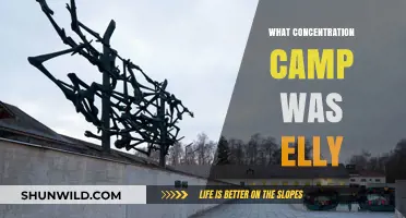Elly's Harrowing Journey: Uncovering the Concentration Camp She Endured