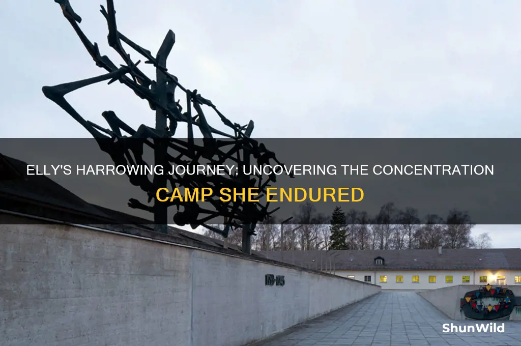 what concentration camp was elly