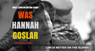 Hannah Goslar's Harrowing Experience at Bergen-Belsen Concentration Camp