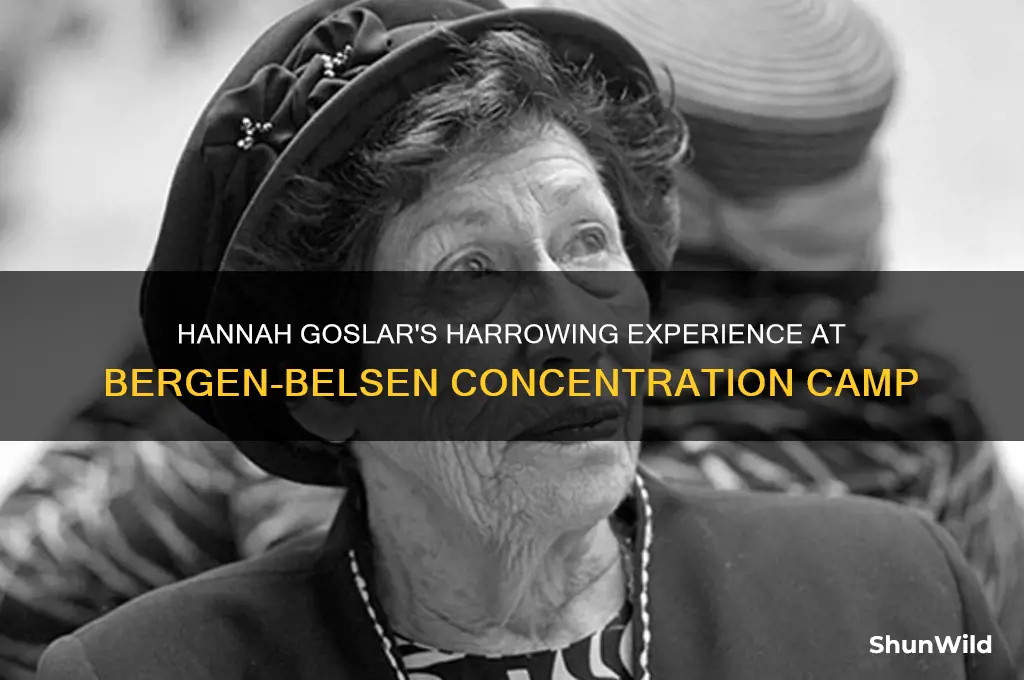 what concentration camp was hannah goslar