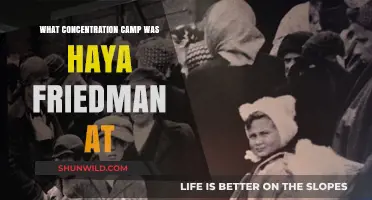 Haya Friedman's Harrowing Experience at Auschwitz Concentration Camp