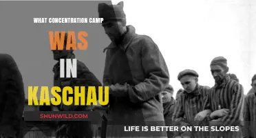 Kaschau's Dark History: Uncovering the Concentration Camp in Slovakia