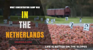 Uncovering the Netherlands' Dark History: Westerbork Concentration Camp
